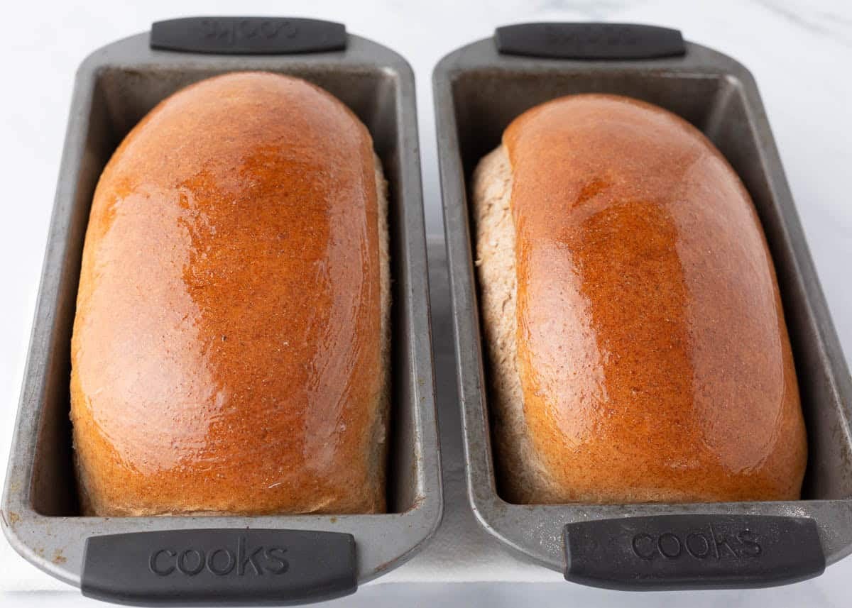 Two golden brown whole wheat bread loaves fresh from the oven.