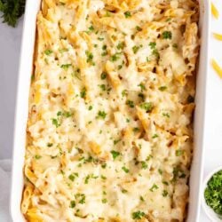 Chicken alfredo bake in a white baking dish.