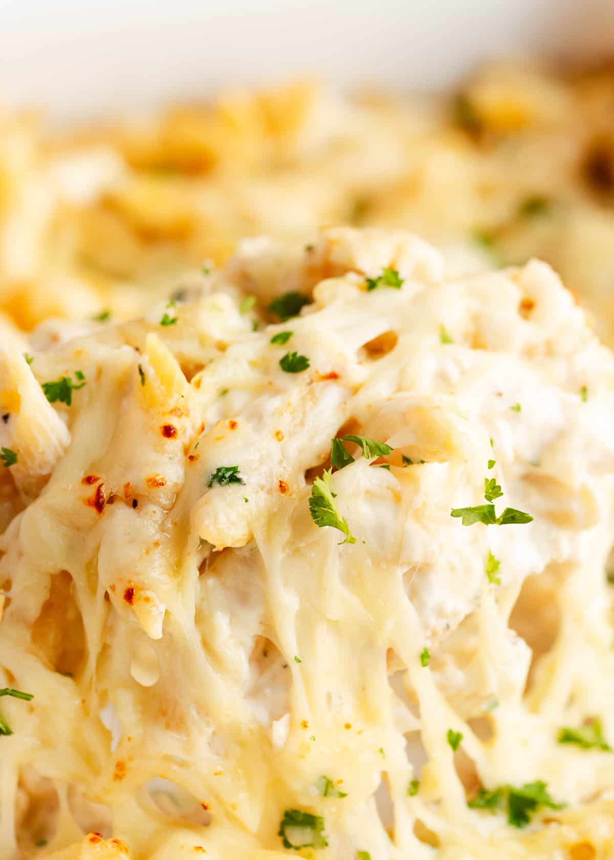 Chicken alfredo bake.