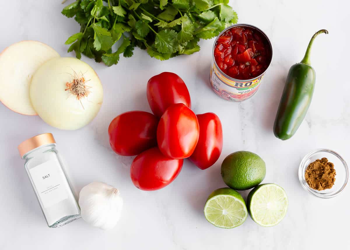 Homemade salsa ingredients on the counter.