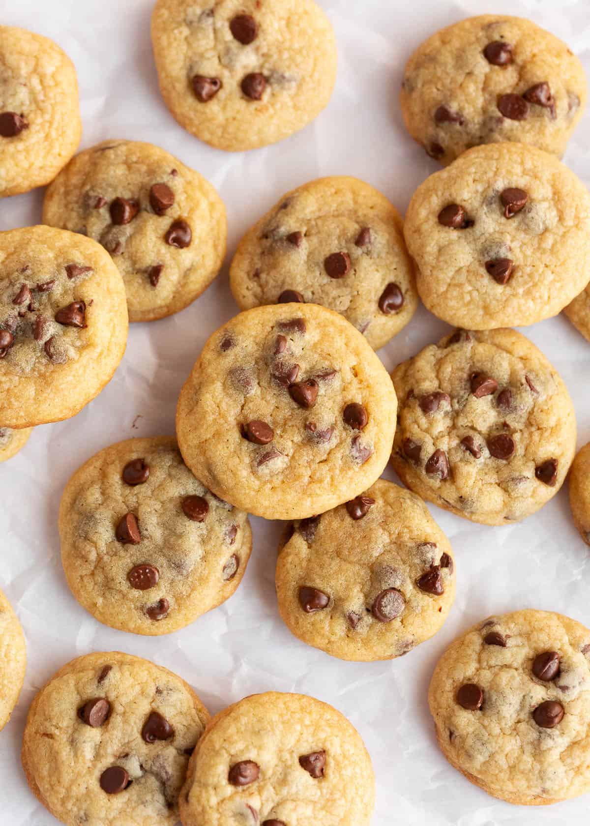 These mini chocolate chip cookies are perfect for anyone who loves the classic flavor of chocolate chip cookies but wants them in a fun, bite-sized form! Stacked mini chocolate chip cookies.
