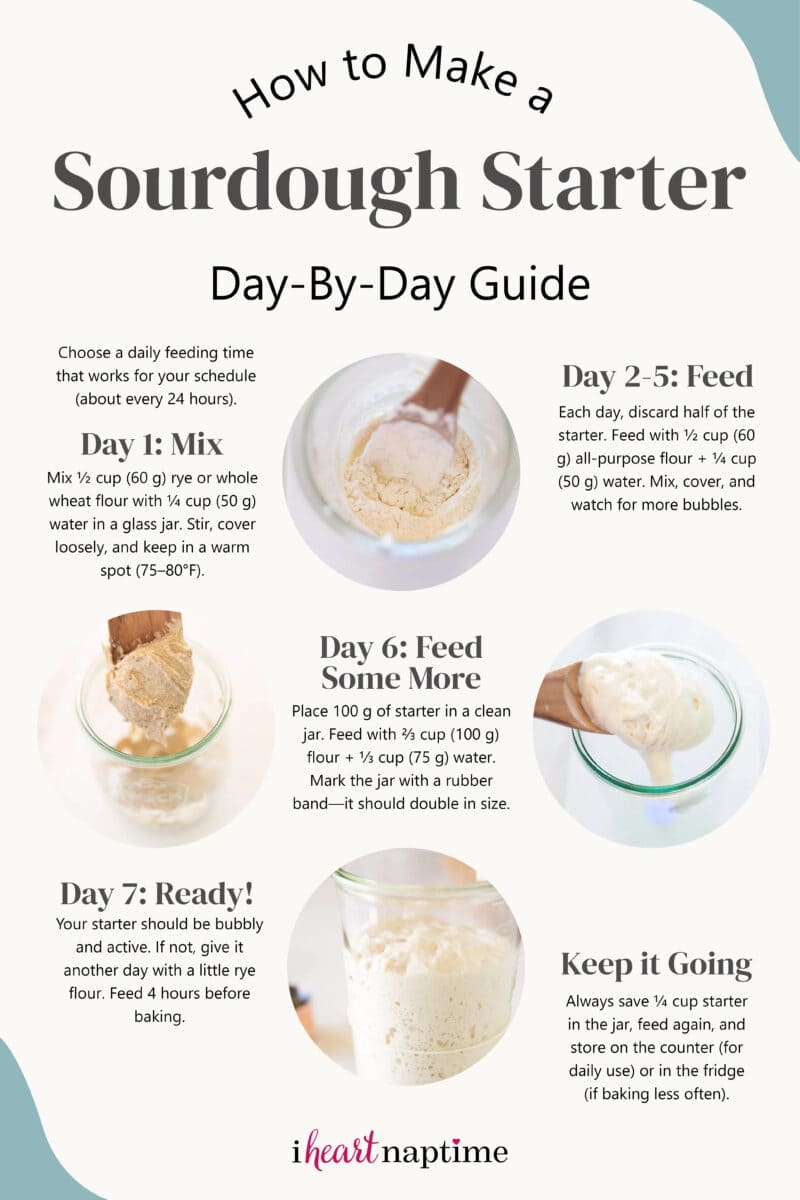 Day-by-day infographic showing how to make a sourdough starter from scratch over 7 days, including daily feeding instructions, ingredient measurements, and tips for maintaining an active starter. 