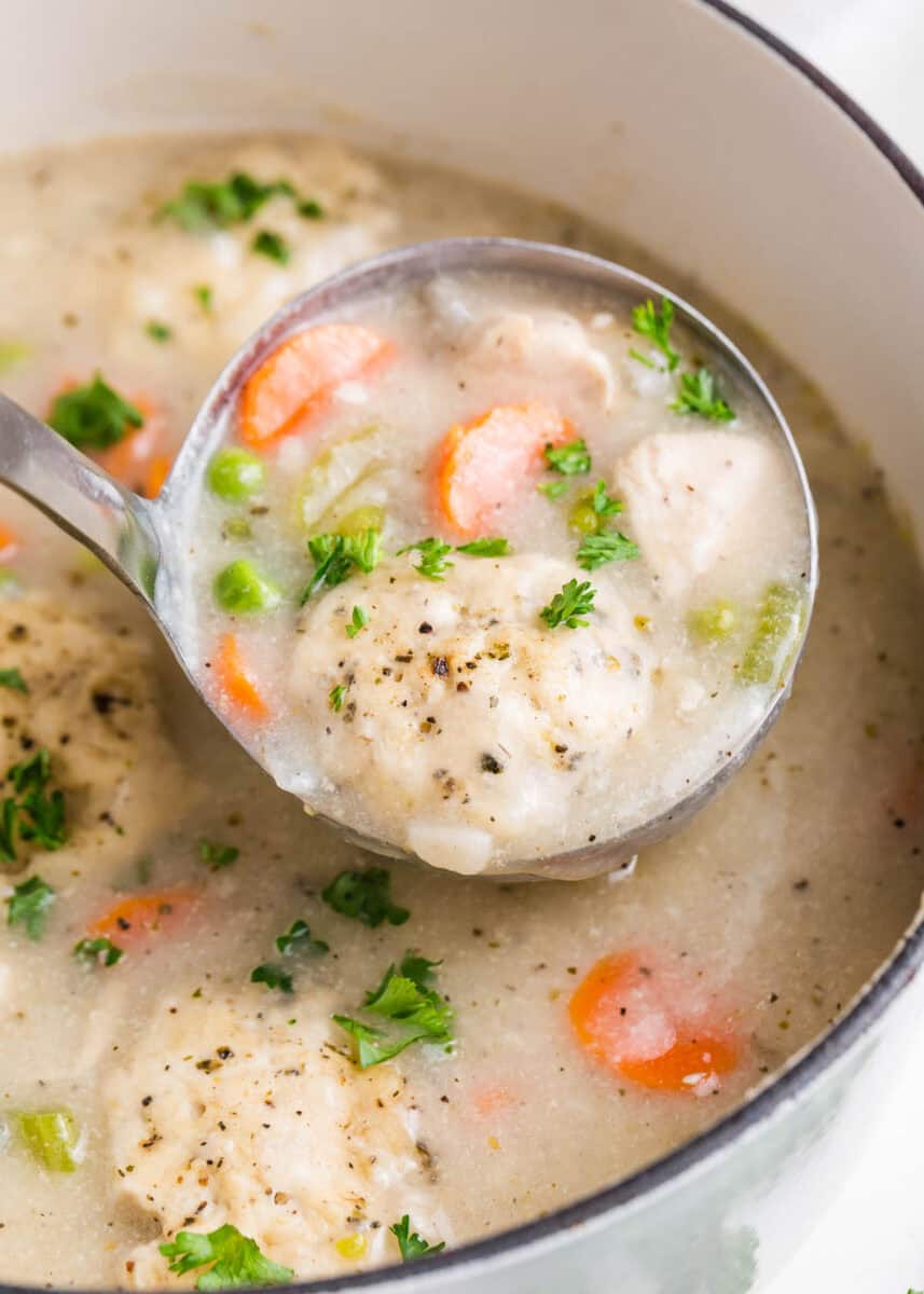 Chicken Dumpling Soup - I Heart Naptime