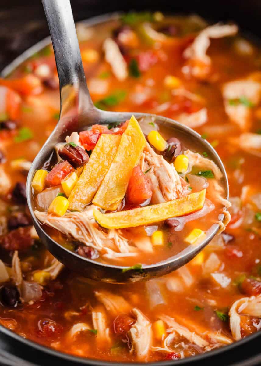 Ladle of Crockpot Chicken Tortilla Soup.