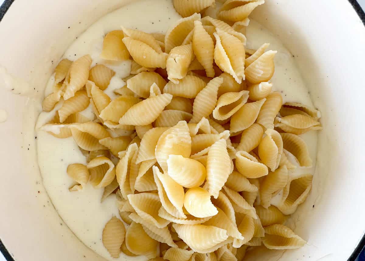 Add in pasta shells to a pan of white cheddar cheese sauce. 