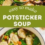 Potsticker soup in a pot.