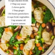 Potsticker soup in a pot with ingredients listed.