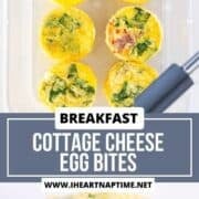 Cottage cheese egg bites in a storage dish and stacked.