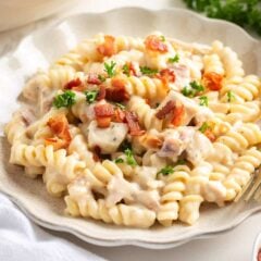 Easy chicken bacon ranch pasta topped with crispy bacon and fresh parsley in a shallow bowl.