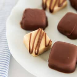 Frozen peanut butter Greek yogurt bites dipped or drizzled with chocolate on a white plate.