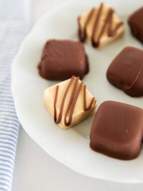 Frozen peanut butter Greek yogurt bites dipped or drizzled with chocolate on a white plate.