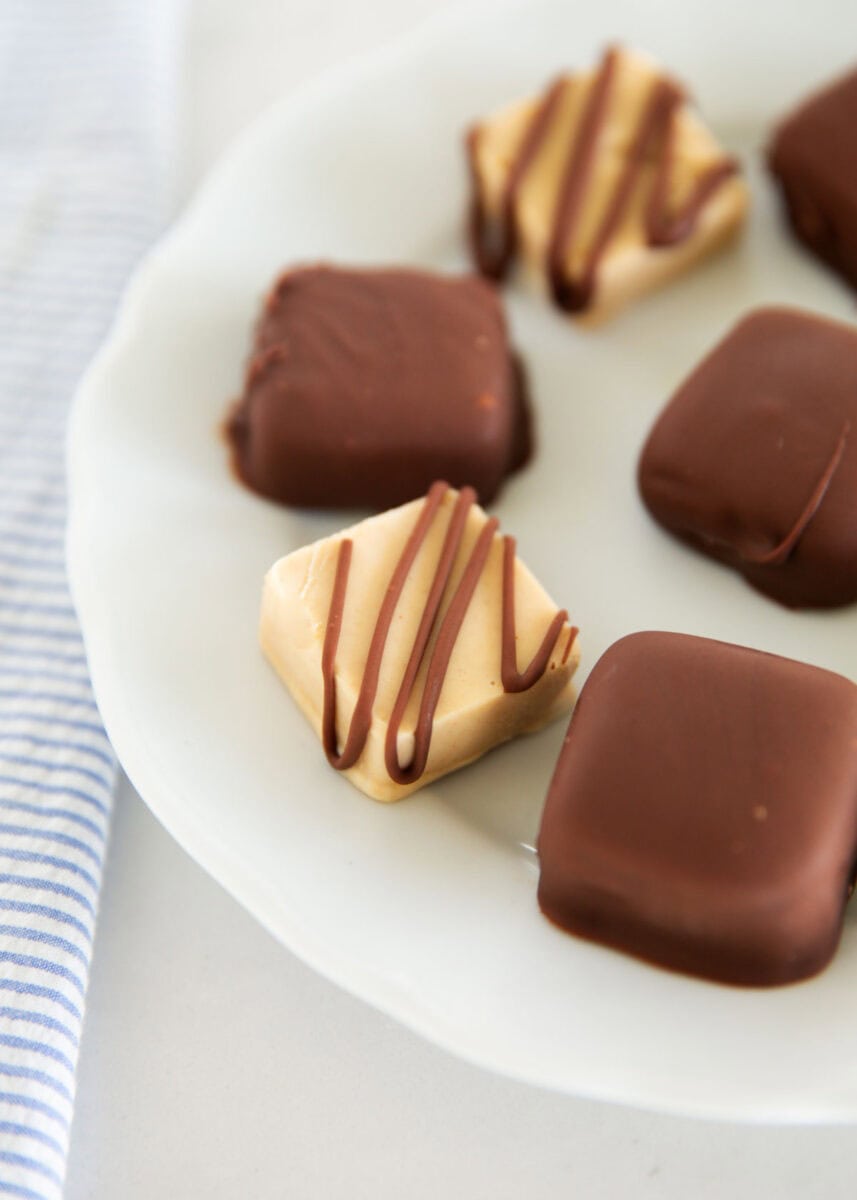 Frozen peanut butter Greek yogurt bites dipped or drizzled with chocolate on a white plate.