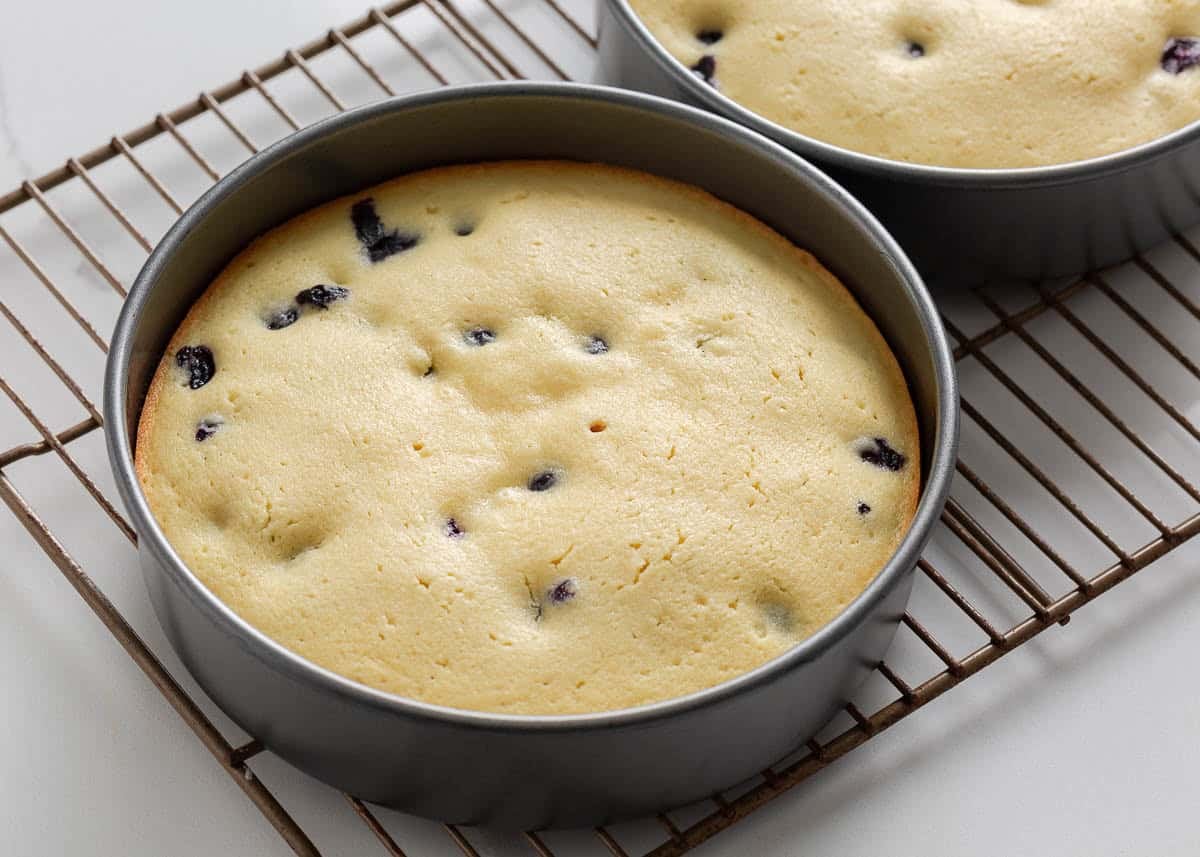 Lemon blueberry layer cake layers stacked with lemon cream cheese frosting between them.