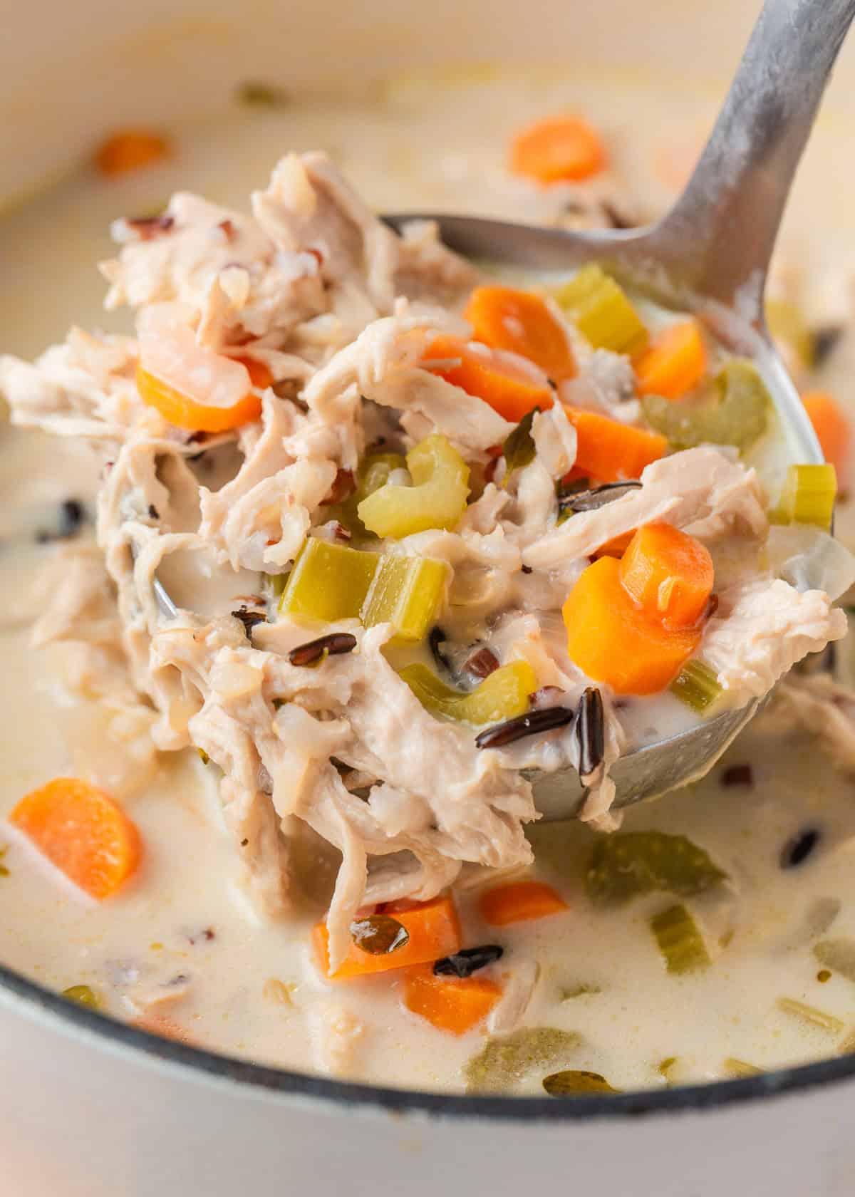 Close-up of a ladle filled with creamy chicken and wild rice soup, showing chunks of shredded chicken, carrots, celery, and wild rice in a creamy broth.