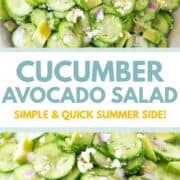 Cucumber avocado salad in a bowl.