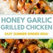 Sliced honey garlic chicken on rice.