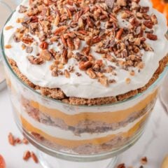 Top view of Thanksgiving pumpkin trifle topped with whipped cream, chopped pecans, and toffee bits.