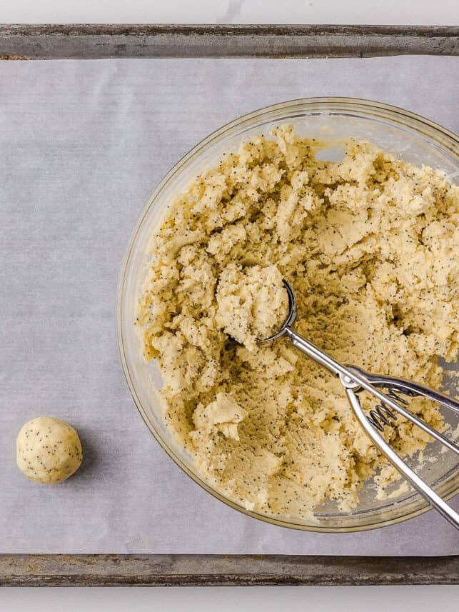 These lemon poppy seed cookies are a no-chill soft, buttery sugar cookie studded with crunchy poppy seeds, infused with sweet citrus flavor, and topped with tangy lemon glaze. Lemon poppy seed cookie dough scooped into round balls and placed on a parchment-lined baking sheet, ready for the oven.