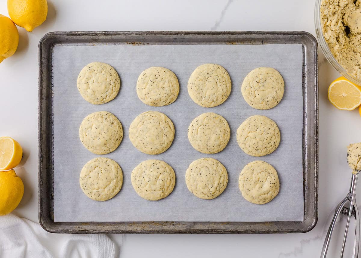 These lemon poppy seed cookies are a no-chill soft, buttery sugar cookie studded with crunchy poppy seeds, infused with sweet citrus flavor, and topped with tangy lemon glaze. Freshly baked lemon poppy seed cookies cooling on a parchment-lined baking sheet, golden around the edges.