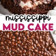 Mississippi mud cake sliced on a plate.