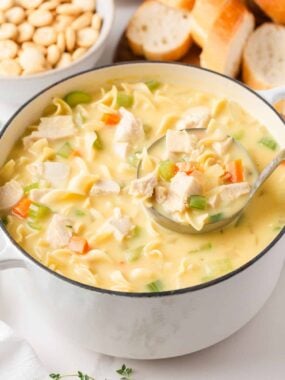 Homemade creamy chicken noodle soup in a white pot, with a ladle full of chicken, egg noodles, and vegetables.