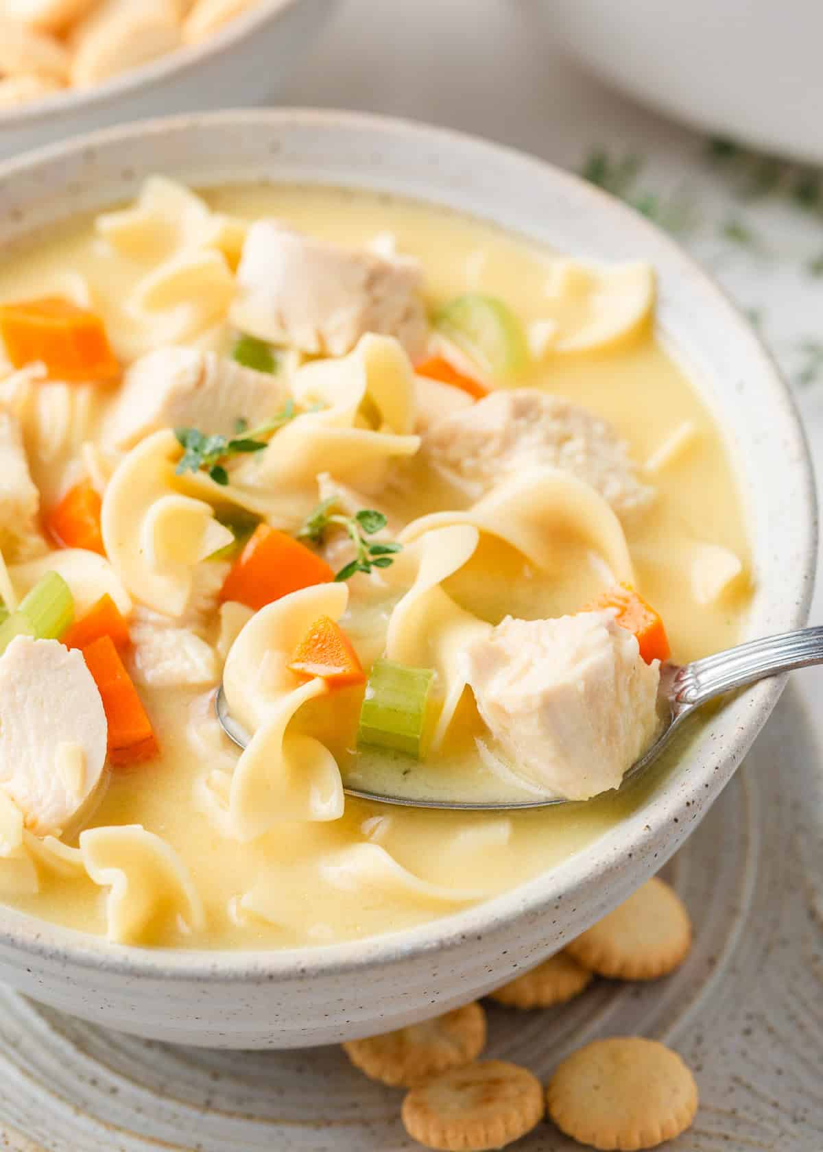 A creamy twist on a classic soup, this easy-to-make creamy chicken noodle soup is exactly what you need when you're curled up under a blanket this winter! Bowl of creamy chicken noodle soup with egg noodles, carrots, celery, and chunks of chicken, served with oyster crackers.