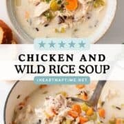 A bowl of chicken and wild rice soup and large pot of soup with ladle.