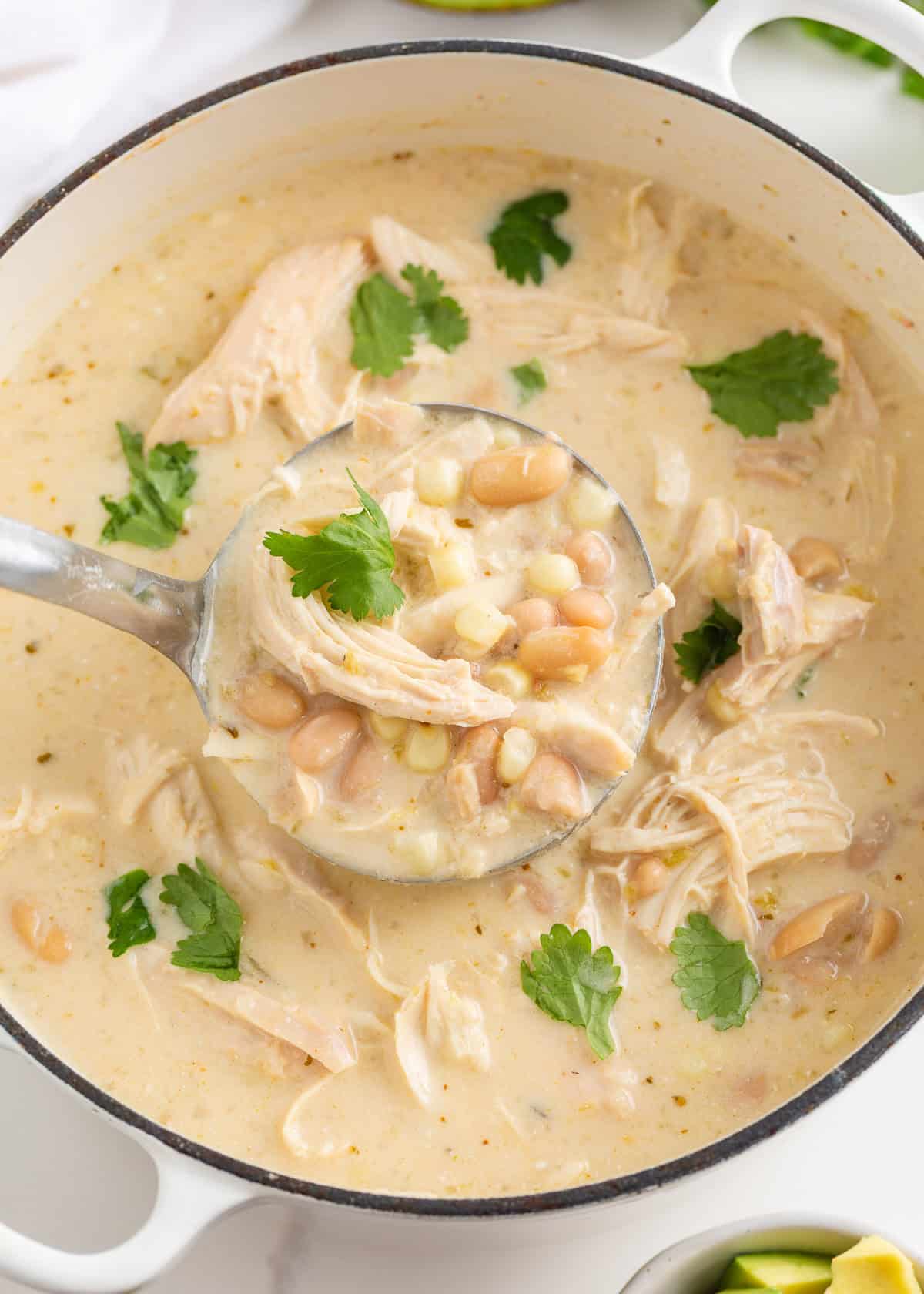 Creamy white chicken chili in a Dutch oven filled with shredded chicken, white beans, corn, and fresh cilantro.