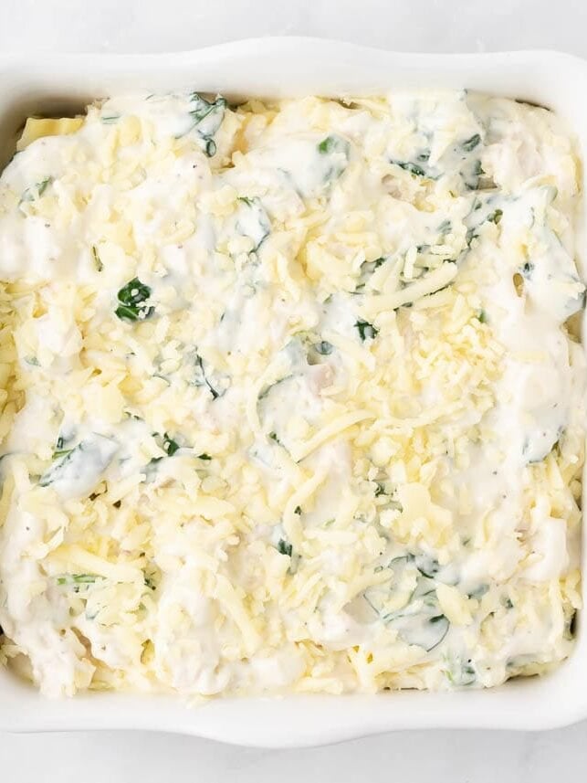 Easy chicken alfredo lasagna made with tender chicken, creamy alfredo sauce, spinach and mozzarella cheese. This rich and hearty chicken lasagna is a family favorite! Assembled unbaked chicken alfredo lasagna.