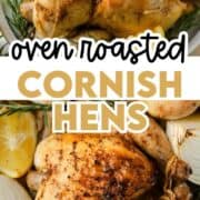 Oven roasted cornish game hens read to be served with garnish of lemon, onion and rosemary.