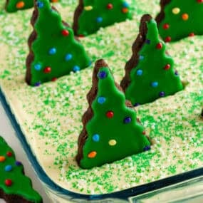 Christmas dirt cake in a glass 9x13 pan covered in green sprinkles and white nonpareils, topped with rows of standing Little Debbie Christmas tree brownies.