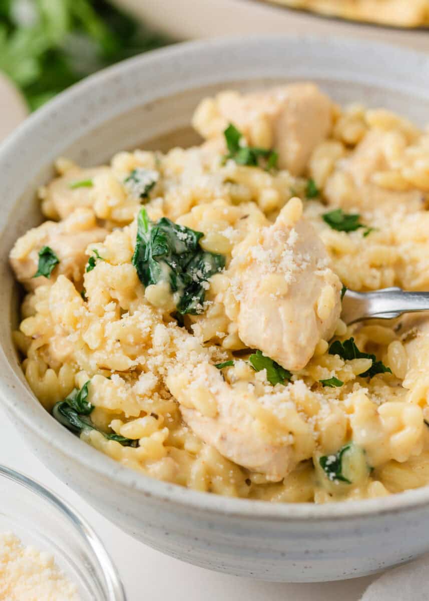 Close-up of creamy chicken and orzo topped with grated Parmesan and fresh herbs.