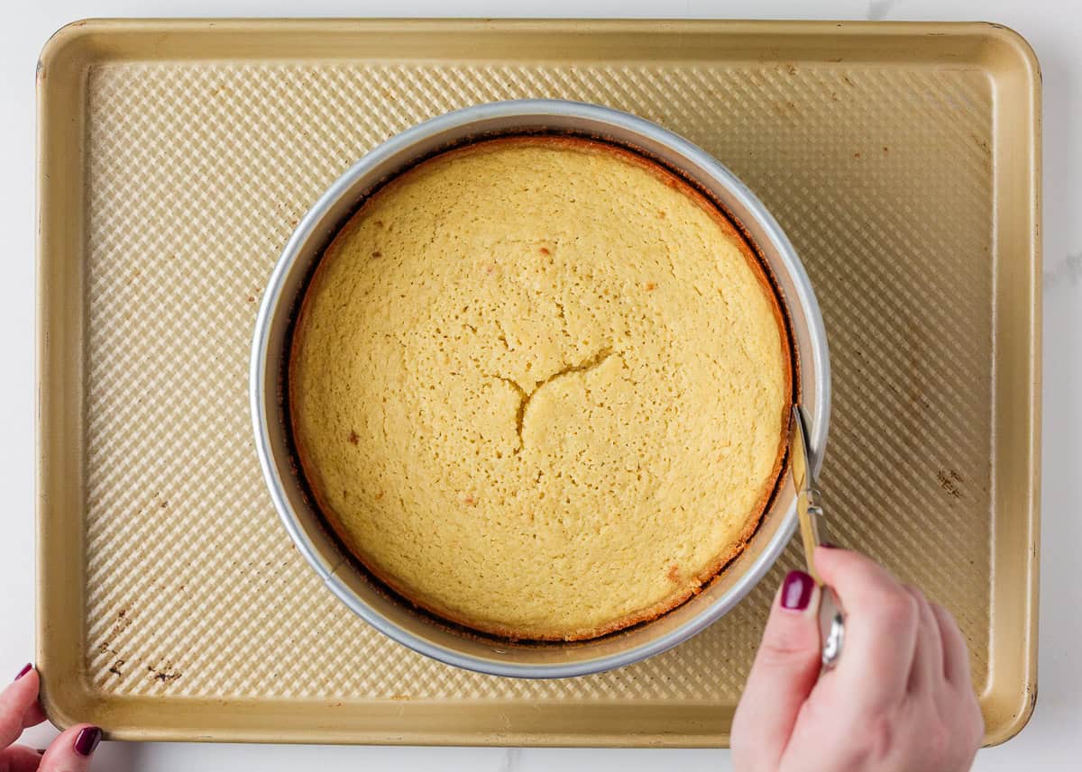 This lemon olive oil cake is sunshine in dessert form, with a light, tender crumb and bright lemon flavor in every bite. Elegant yet simple, it’s an effortless cake to make. Lemon olive oil cake cooling in a springform pan with a knife loosening the edges.