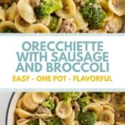 Orecchiette with sausage and broccoli.
