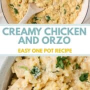 Chicken and orzo recipe in a pot then in serving bowl.