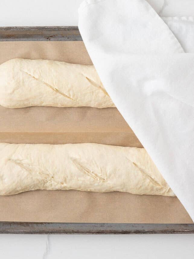 Two shaped sourdough French bread loaves resting on a baking sheet under a kitchen towel.