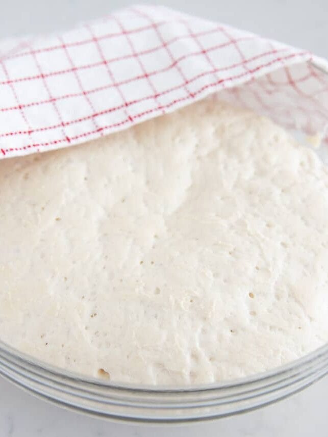 Artisan bread dough rising in bowl.