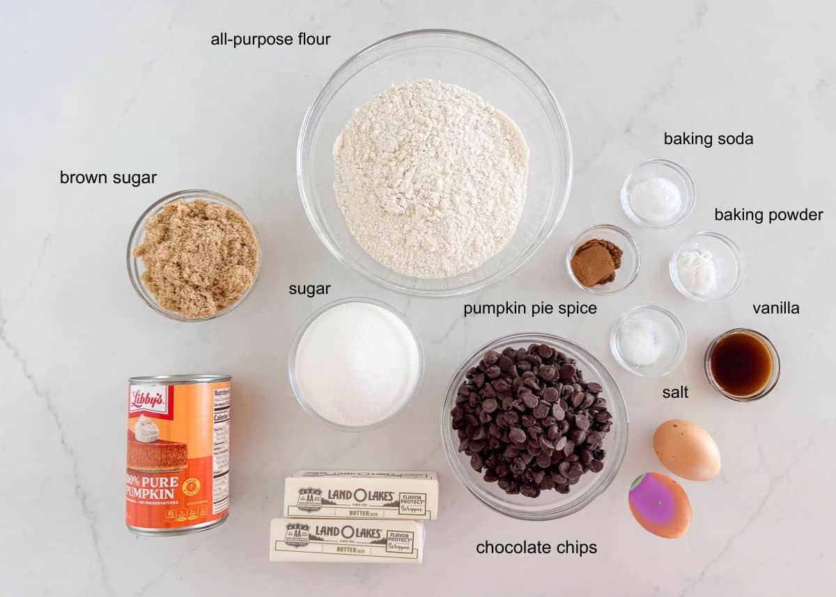 Ingredients for pumpkin chocolate chip cake, including pumpkin puree, flour, butter, eggs, sugar, spices and chocolate chips.