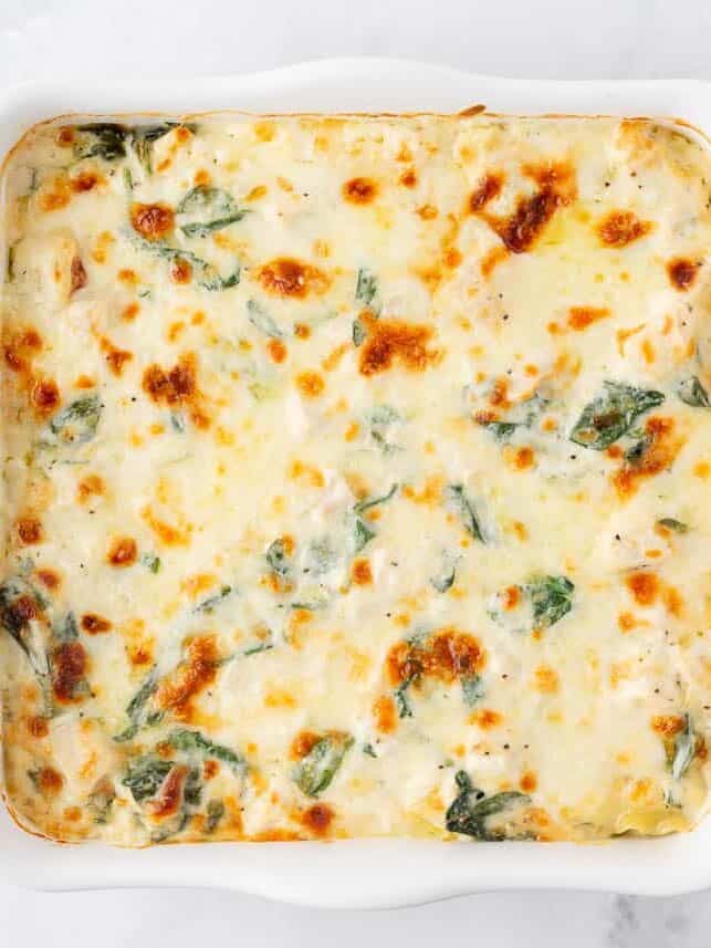 Baked chicken alfredo lasagna.